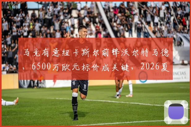 马竞有意纽卡斯尔前锋沃尔特马德,6500万欧元标价成关键,2026夏窗转会最新动态解析